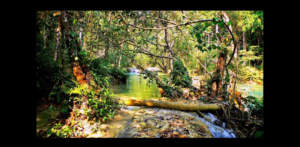 landscape12.jpg